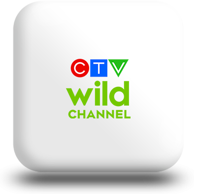 CTV Wild Icon