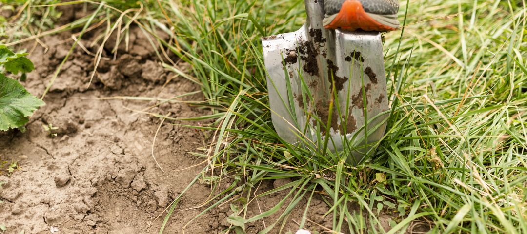 Person digging in their garden